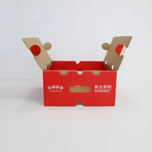 Custom Printed Large Square Stackable Corrugated Cardboard Fruit and Vegetable Display Tray Packaging Box