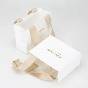 Custom Printed Logo Recyclable Gift Packaging Shopping Paper Bag with Ribbon Handle for Clothing Jewelry Cosmetic Stores