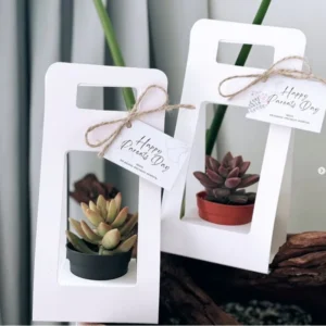 Custom Printed Open-Window Recyclable Handheld Paper Flower Gift Box