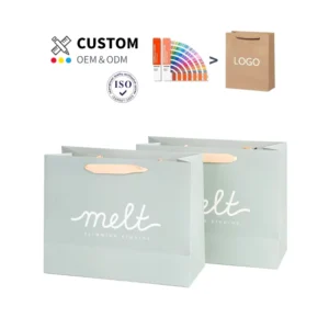 Custom Printed Paper Bag with Handle for Clothing, Gift, and Jewelry Retail Packaging