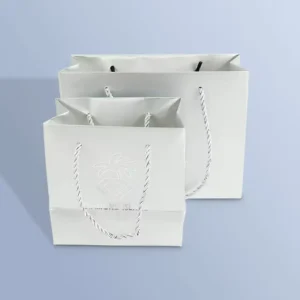 Custom Printed Paper Shopping Bags