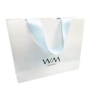 Custom Printed Paper Shopping Bags with Handles, Eco-Friendly, Retail Gift Packaging