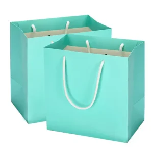 Custom Printed Paper Shopping Bags with Handles and Custom Logo