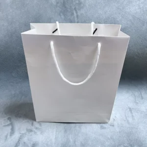 Custom Printed Paper Shopping Gift Bags for Retail Boutiques