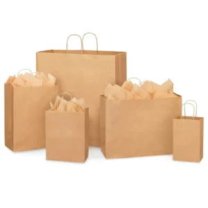 Custom Printed Recyclable Art Paper Shopping Packaging Bag for Shoes and Clothing