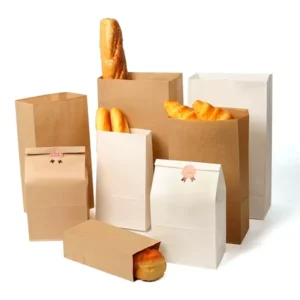 Custom Printed Recyclable Durable Paper Shopping Gift Bag for Takeaway