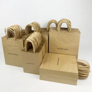 Custom Printed Recyclable Kraft Paper Shopping, Gift, Clothing, and Food Takeaway Bags