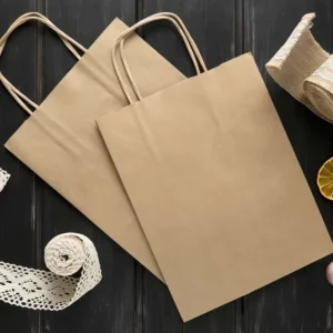 Custom Printed Recyclable Kraft Paper Takeaway and Shopping Bag with Handles