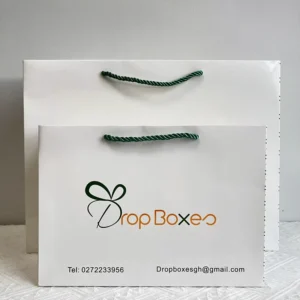 Custom Printed Recyclable Reusable Shopping Bags with Magnetic Closure and Art Paper Handles for Apparel Packaging