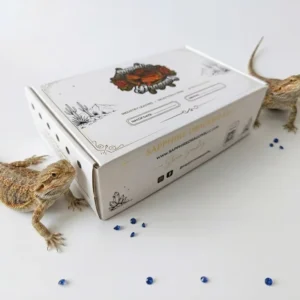 Custom-Printed Reptile Transport Carton with Ventilation Holes for Lizard and Snake Breeding