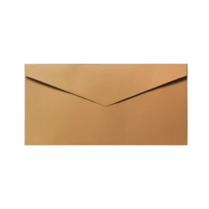 Custom Printed Various Size Kraft Paper Cardboard Envelopes for Packaging with Logos