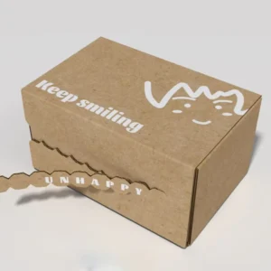 Custom Quick-Seal Peel-Off Self-Seal Postal Mailer Box with Adhesive Strips and Tear Strip