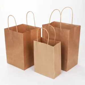 Custom Recyclable Brown Kraft Paper Bag with Cotton Handles for Takeaway Food, Tea, Clothing, and Gift Packaging