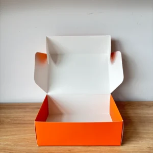 Custom Recyclable Cardboard Folding Mailer Box for Product Packaging