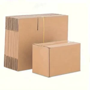 Custom Recyclable Corrugated Kraft Paper Shipping Box