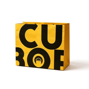 Custom Recyclable FSC Paperboard Gift Bag with Shopping Packaging and Logo Print