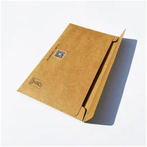 Custom Recyclable Kraft Paper & Cardboard Mailer Envelope with Self Adhesive Peel and Seal for Express E Commerce Packaging