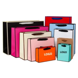 Custom Recyclable Paper Gift Bag with Black Edge Fabric Handle for Clothing, Jewelry, and Retail Packaging