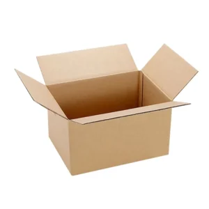 Custom Recyclable Waterproof Corrugated Shipping Carton with Matte Embossing