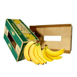 Custom Recycle 5-Ply Corrugated Fresh Fruit and Vegetable Banana Carton Box
