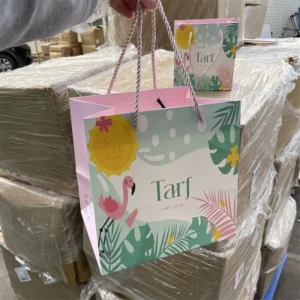 Custom Retail Boutique Shopping Gift Paper Bags for Small Business Packaging with Ribbon Rope