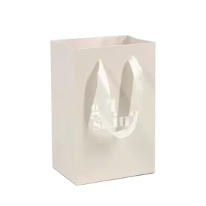 Custom Retail Paper Shopping Bag with Custom Logo