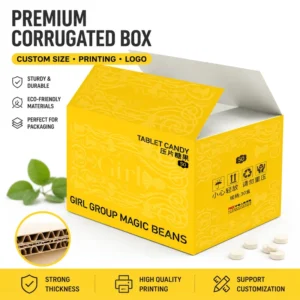 Custom Size Eco-Friendly Foldable Corrugated Carton with Logo Printing