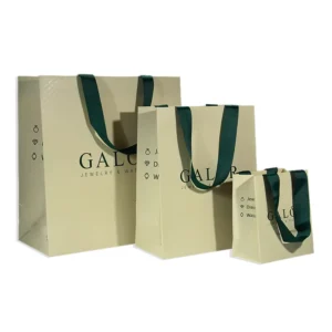 Custom Size Logo Beige and Green Paper Bag Shopping Bags with Ribbon Handle for Gift Shopping Pack