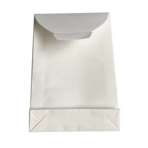 Custom Size Logo Printing White Insert-Closure Paper Jewellery Envelope Bags