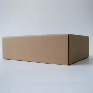 Custom Size Thick Corrugated Shipping Carton for Export Packing