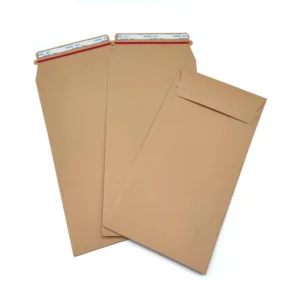 Custom Small Brown Kraft Paper Envelope with Sealing Adhesive