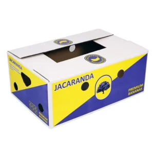 Custom Strong Banana Fruit Shipping Carton for Transport and Mailing