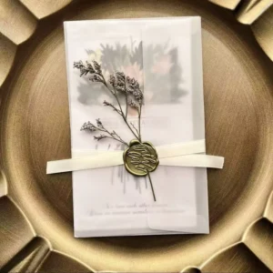 Custom Translucent Vellum Paper Envelope for Wedding Gifts and Packaging