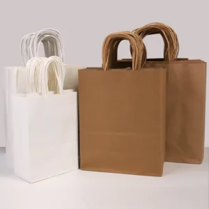 Custom White Kraft Paper Gift Bags with Twisted Handles, Reusable, Recyclable