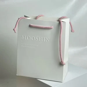Custom Women’s Jewelry Paper Shopping Gift Bag, Large, Bulk Supply