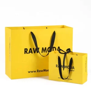 Custom logo Printing Reusable Shopping Bag Luxury Shopping Paper Bag with Ribbon Handle