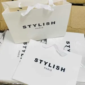 Customizable Color Cardboard Gift Paper Bag with White Print and Your Own Logo