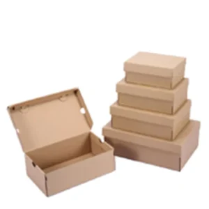 Customizable Corrugated Express Shipping Box with Logo
