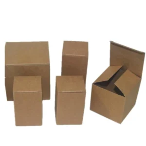 Customizable Corrugated Shipping and Mailing Courier Boxes with Custom Printing and Sizes