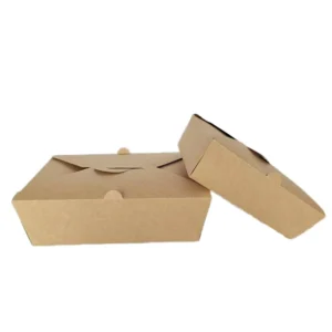 Customizable Disposable Kraft Paper Food Packaging Box for Sushi and Pizza