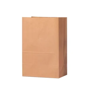 Customized Size Pizza Brown Customizable Kraft Recyclable Takeaway Paper Bags with Hand Length Handle for Fast Food