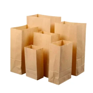 Customizable Logo Eco Friendly Kraft Paper Bag Food and Grocery Butter Proof Paper Bag