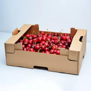 Aangepaste golfkartonnen verpakkingsdoos voor noten, kersen, sinaasappels, appels, citroenen, mango's, bananen en groenten