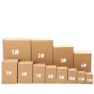 Customized Corrugated Moving Carton Box with Die-Cut Handle