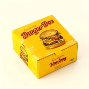 Customized Disposable Biodegradable Food Grade Recyclable Paper Box for Burgers, Takeaway, and French Fries