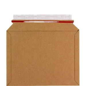 Customized Express Delivery Packaging with Kraft Paper Envelopes