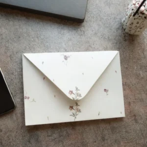 Customized Eyelet Kraft Paper Envelope with String Closure for Photos and Files