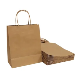 Customized Factory Price Recycled Takeaway Paper Bags
