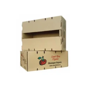 Customized Fruit Carton Packaging Big Orange Box