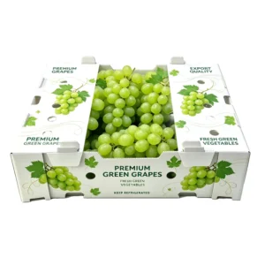 Aangepaste Holle Bord Fruit- en Groentendoos UV-geprint Vouwbaar Waterdicht Vochtbestendig Koudeketenverpakking Calciumplastic
